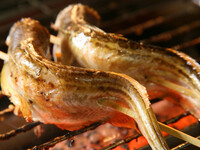 5月【2時間飲み放題付】ハタハタ焼きや比内つくねの蓮根挟み揚げ、桃豚バラトマト巻きなど全12品7000(税込)