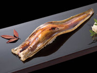 Whole conger eel