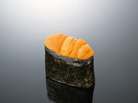 sea urchin