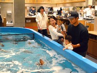 「大漁セット」