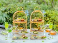 Riverside Afternoon Tea  ～vert fraise～