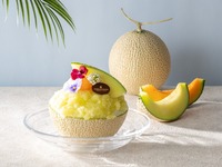 【6/1～8/31・数量限定】プレミアムかき氷「クラウンメロン」＆コーヒーまたは紅茶 | 6,000円