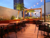 [Terrace Seating Only] Casual Course to Enjoy on the Terrace + 2-Hour All-You-Can-Drink