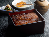 Eel Lunch set