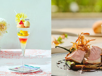 ♥【平日】トロピカルサンセットパフェ付きランチコース（食後カフェフリー）