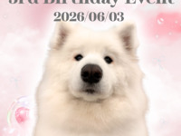 【11時・19時枠限定】わたげバースデーイベント