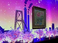５月平日限定プロジェクションマッピングディナー