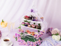 From June 1st: [Aquarium Afternoon Tea] "Falling in Love with Rain" Hydrangea Afternoon Tea & Unlimited Wine and Coffee!