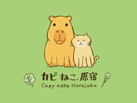 ການພົວພັນລະຫວ່າງແມວ Capybara ແລະແມວ <50 ນາທີ> (ລວມທັງອາຫານວ່າງແມວໜຶ່ງຢ່າງ)