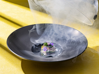 Harmony 4 Course