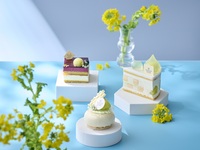 Seasonal Sweets Assortment (3 types) [June: Chiba x Melon Sweets]