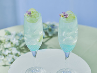 ＜オプション＞【ｽﾍﾟｼｬﾙﾄﾞﾘﾝｸ】モネ・ブルー 〜白葡萄と花の睡蓮仕立て〜（1,131）1,300　THE NATIONAL GALLERY LONDON AFTERNOON TEA -Monet-