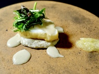 IAKU Lunch course