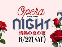 一夜限り！【Opera Night・オペラナイト】　～情熱の夏の夜～