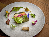【6/10,11限定スペシャルオファー】PIMIENTO 　全6品ディナーコース
