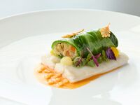 Signature 4 Course Lunch 【Weekdays only 20%OFF】 