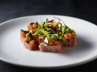 【DINNER】New Share Course (5 dishes total)