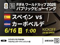 【6/16（火）スペイン VS カーボベルデ】⚽サッカー観戦パック3時間