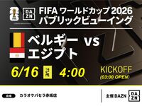 【6/16（火）ベルギー VS エジプト】⚽サッカー観戦パック3時間