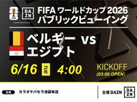 【6/16（火）ベルギー VS エジプト】⚽サッカー観戦パック3時間