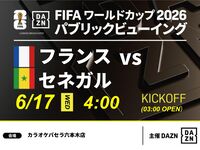 【6/17（水）フランス VS セネガル】⚽サッカー観戦パック3時間