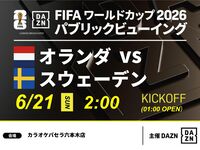 【6/21（日）オランダ VS スウェーデン】⚽サッカー観戦パック3時間