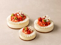 ストロベリーチーズケーキ （15cm／4～6名様向け） 