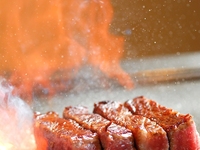 【7・8月】フィレランチ
