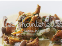 Menu “chanterelles”（シェフのお任せコース）¥17,000-