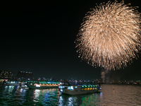 (Shared) Sumida River Fireworks 💎Special Box Seating (115,000 yen per person incl. tax) 2026