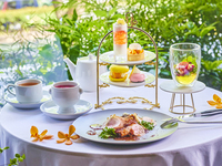 【ミニアフタヌーンティー付き】プリフィックスコース×TWGカフェフリー（7/7～8/18） 