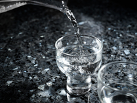 【WEB予約限定／飲み放題付きお得プラン】伝統の深みが醸す旬の味覚の特別会席
