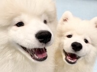 ≪平日≫通常チケット（50分）