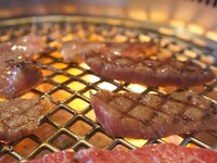 焼肉堪能コース