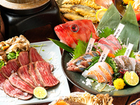 【6.7月限定】 漁港直送の鮮魚や牛タタキに、旬の大垣野菜が楽しめる特別プラン