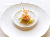 Shine