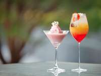 【Kyoto Gourmet Journey】 VIRIDIS  Course + Choice of mocktail