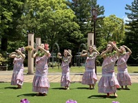 【10周年記念企画：7/27・7/28】＜ウエルカムドリンク＆ハワイアン フラダンスショー付き＞ランチ！沖縄×ハワイの絶品グルメとフラダンスで盛り上がる特別な夏休み！「HulaStudio LanaPono&Le’a」