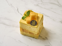 国産マンゴーショートケーキ