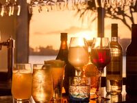 SHIOKA All-You-Can-Drink Premium – 90 minutes