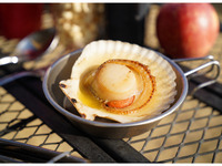 One scallop