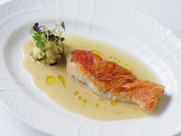 Lunch/【Special Course】季節のランチスペシャルコース