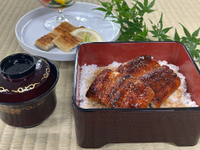 〈8/31まで〉【ランチ＆ディナー】浜名湖産鰻「でしこ」を食すコース