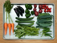 【9/6(日)限定イベント】Farmers Market
