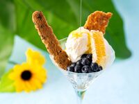 [8/1~] フローズンヨーグルト