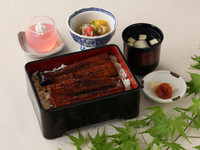 ◇茶碗蒸し・ソフトドリンク1杯付き◇「夏季限定」浜名湖産うな重　半身