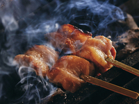 【炭コース(2h制)】※料理のみ