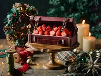 ☆【Takeout ◆ Christmas products ◆】 Voyage de Noël
