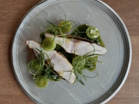 Pan-seared fish with matcha-infused salsa verde