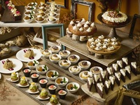 【9/1 - 11/12】The Stars of Autumn〈Weekends & Holidays〉